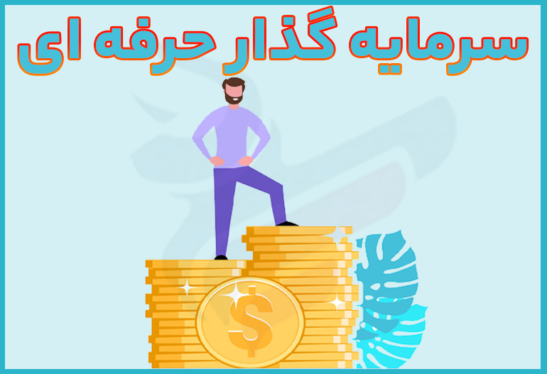 شرایط سرمایه گذار حرفه ای