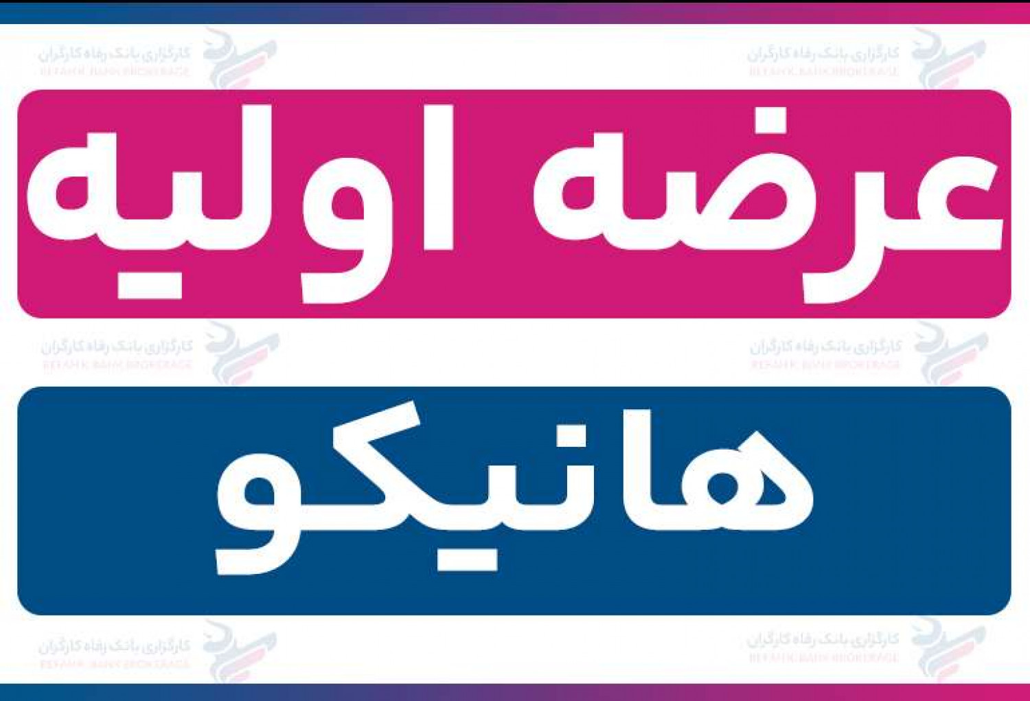 عرضه اولیه «هانیکو» (شنبه 22 آذر 1404) | نقدینگی و جزئیات