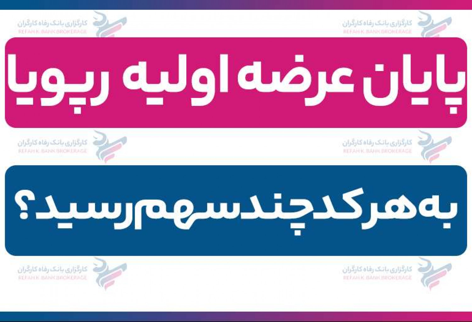 پایان عرضه اولیه رپویا | به هر کد چند سهم رسید؟